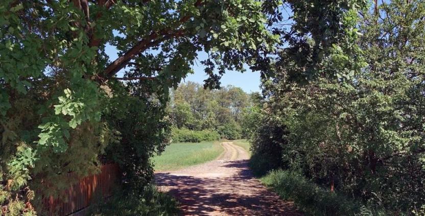 Prodej pozemku pro bydlení, Vestec, 5392 m2