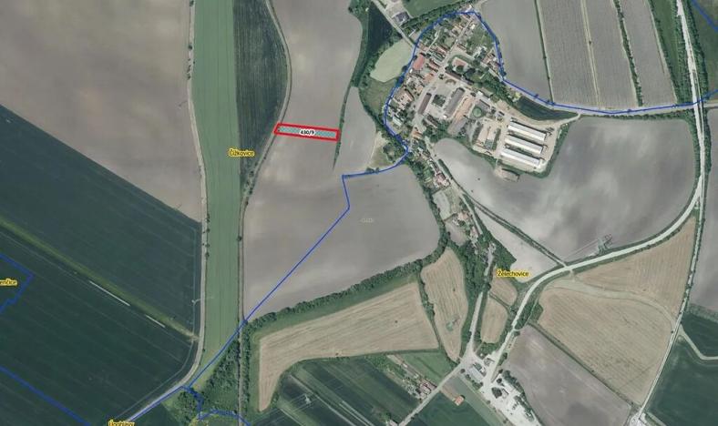 Prodej pole, Čížkovice, 2941 m2