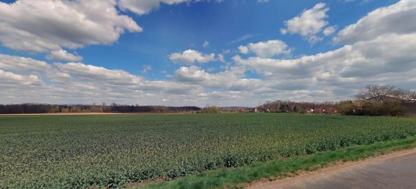 Prodej pole, Budyně nad Ohří, 3147 m2