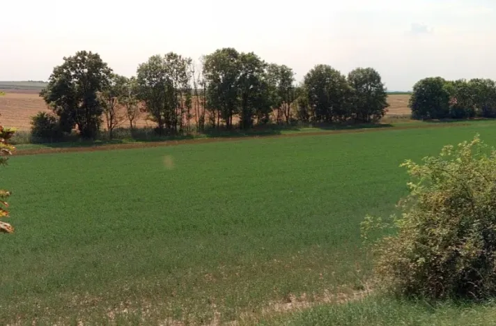 Prodej pole, Černuc, 6563 m2