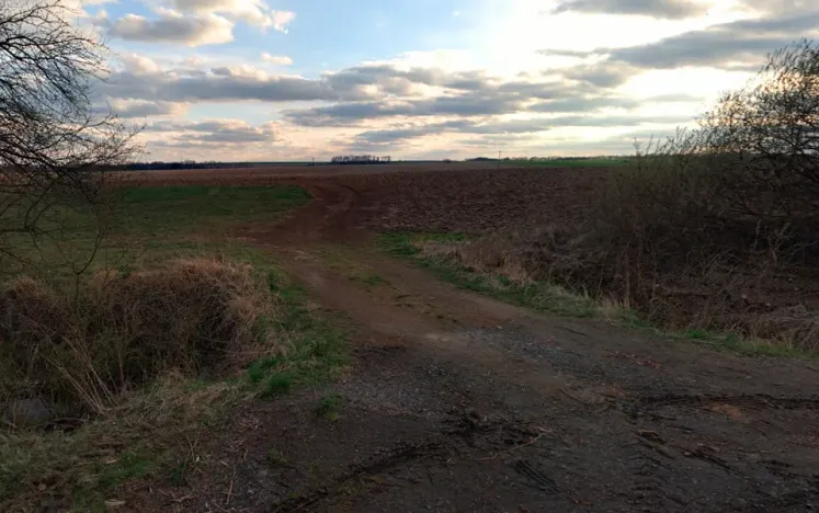 Prodej pole, Markvartice, 80011 m2