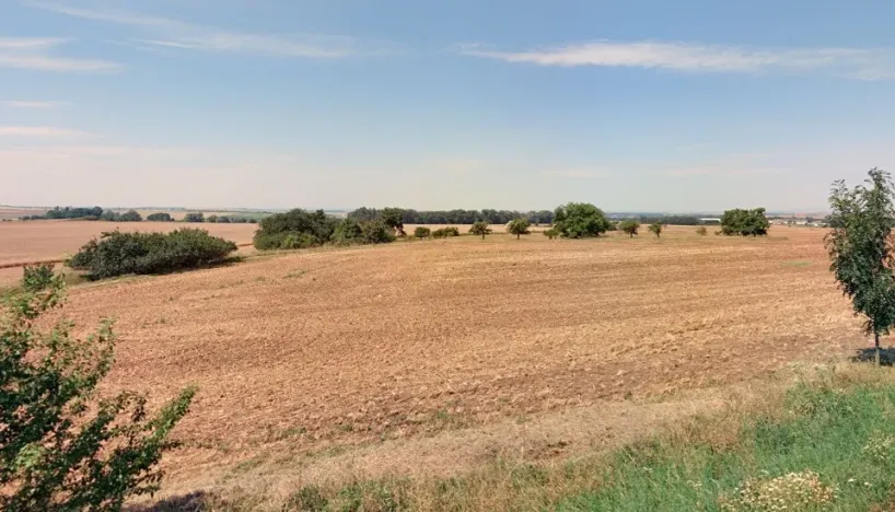 Prodej pole, Velvary, 2970 m2