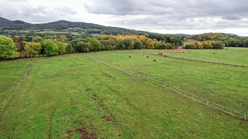 Prodej pozemku, Třebušín, 127000 m2