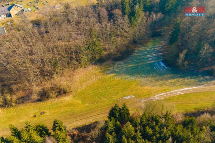 Prodej louky, Karle, 2359 m2