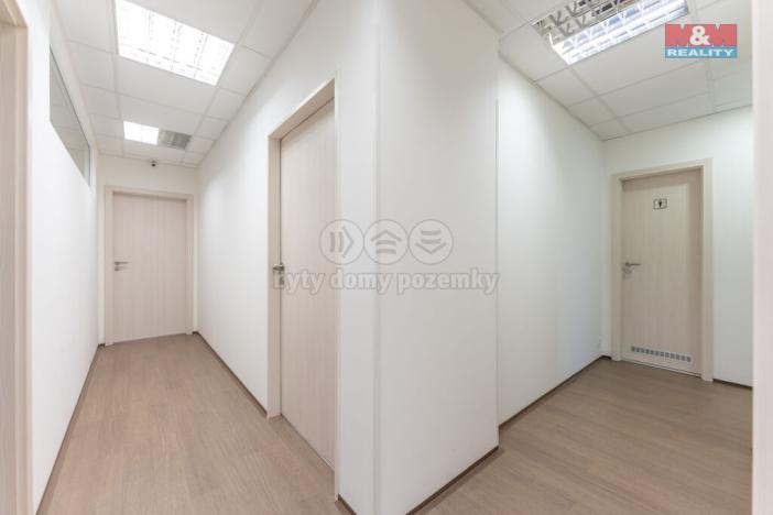 Pronájem kanceláře, Praha - Břevnov, Bělohorská, 168 m2