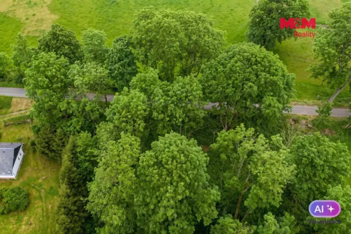 Prodej louky, Výprachtice - Valteřice, 321 m2