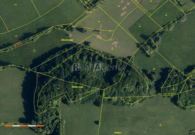 Prodej lesa, Nový Jičín, 13092 m2