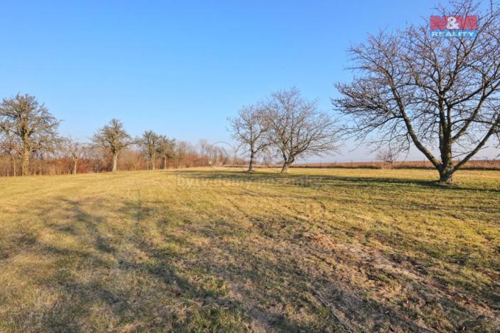 Prodej pole, Miskovice, 8245 m2