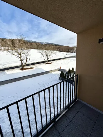 Prodej bytu 2+kk, Černý Důl, 47 m2