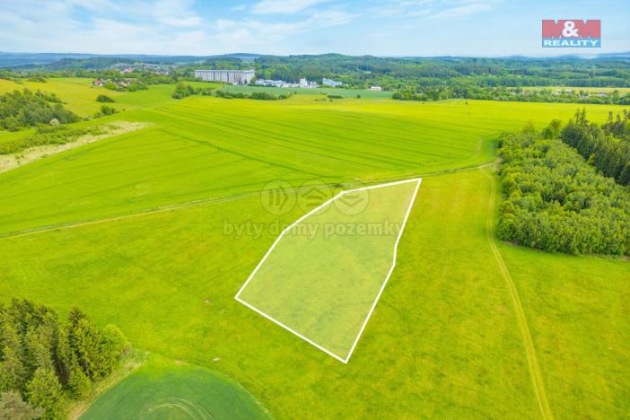 Prodej louky, Lešetice, 10193 m2