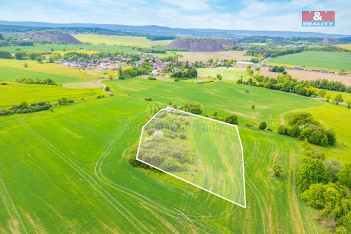 Prodej louky, Lešetice, 6006 m2