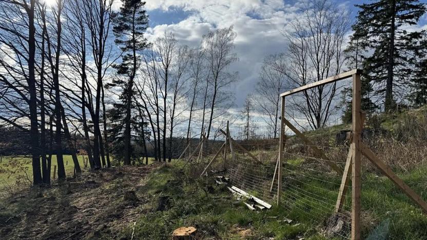 Prodej lesa, Pecka, 35108 m2