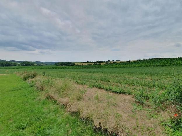 Prodej pozemku pro bydlení, Vysoký Újezd, 2977 m2