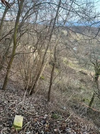 Prodej zahrady, Tachov, Na Výsluní, 483 m2