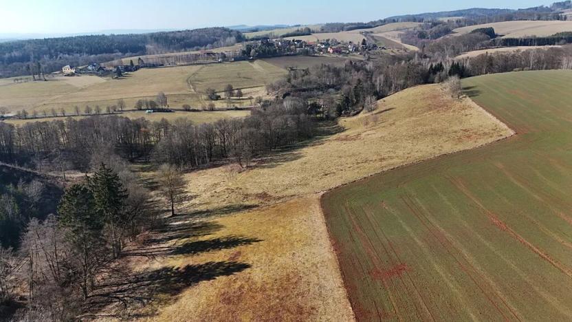 Prodej louky, Zdobín, 46786 m2