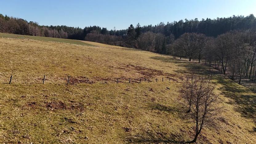 Prodej louky, Zdobín, 46786 m2