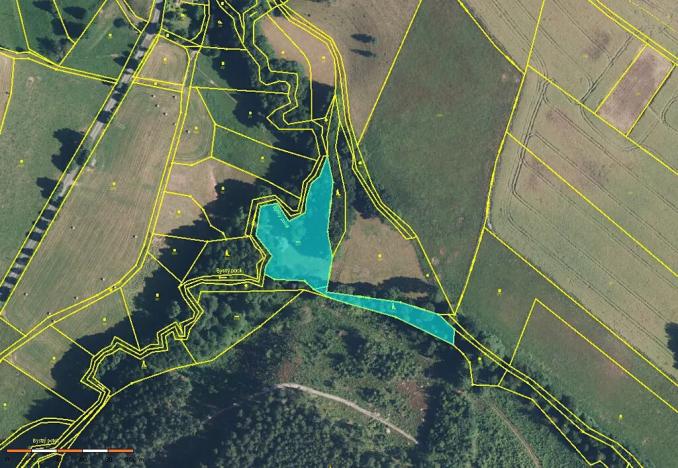 Prodej louky, Úhlejov, 46786 m2