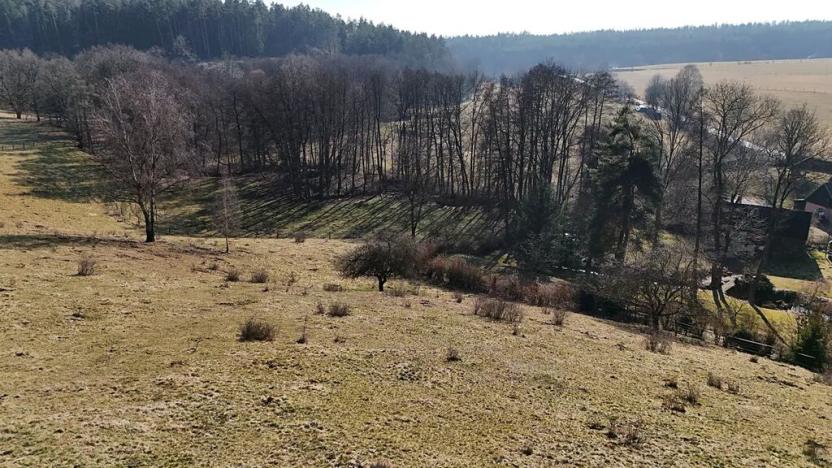 Prodej pole, Úhlejov, 46786 m2