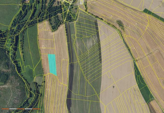 Prodej pole, Žďárná, 12176 m2