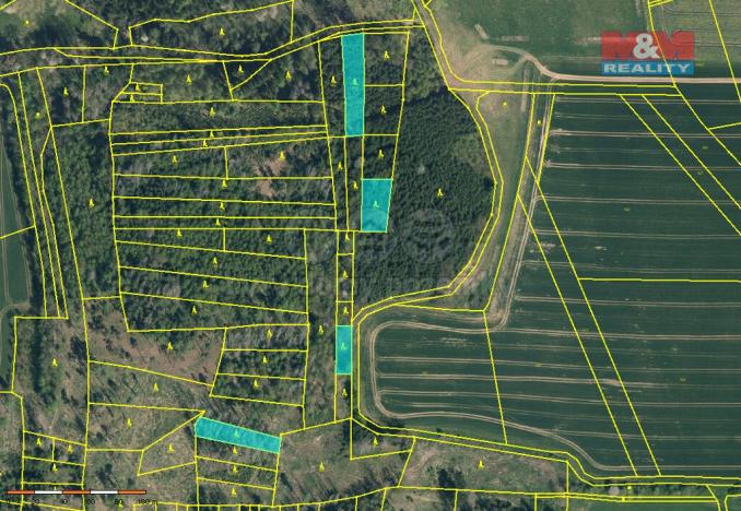 Prodej lesa, Načeradec - Pravětice, 19561 m2