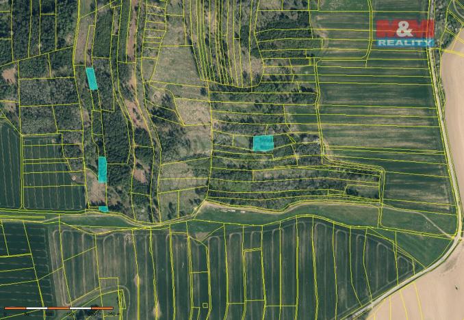 Prodej lesa, Načeradec - Pravětice, 19561 m2