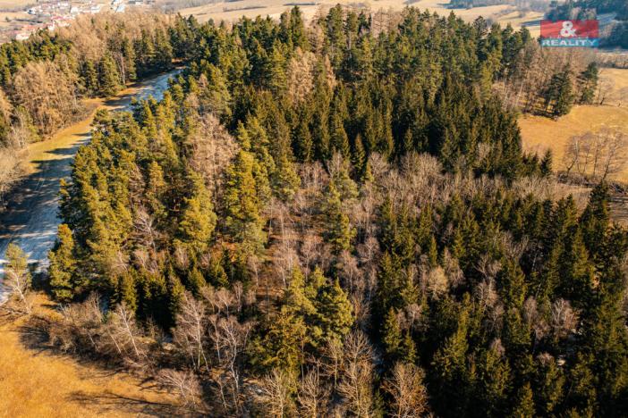 Prodej lesa, Nišovice, 42761 m2