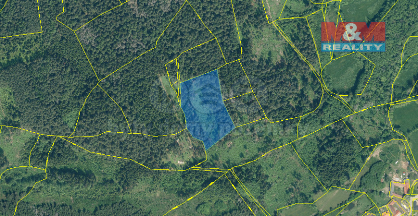 Prodej lesa, Nišovice, 42761 m2