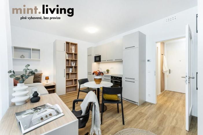 Pronájem bytu 1+kk, Praha - Vysočany, Odkolkova, 42 m2