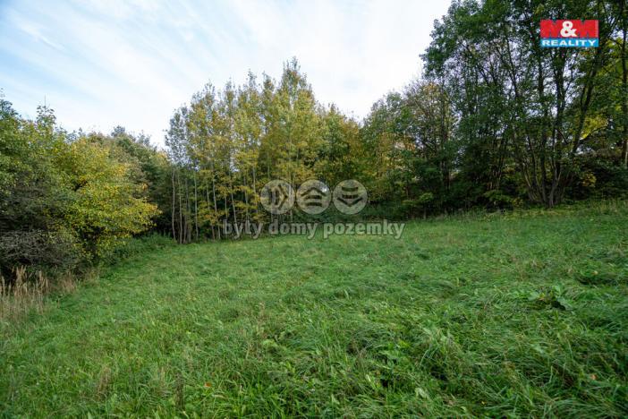 Prodej lesa, Kosov, 752 m2