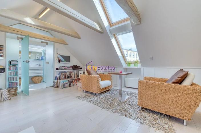 Prodej bytu 5+kk, Praha - Staré Město, Vejvodova, 241 m2