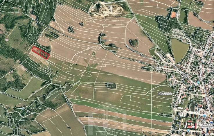 Prodej lesa, Studená, 7419 m2