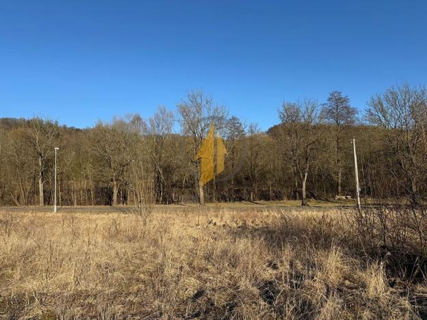 Prodej komerčního pozemku, Stará Paka, 4486 m2