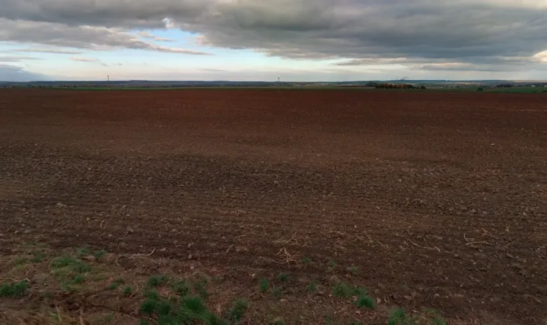 Prodej pole, Červené Pečky, 5013 m2