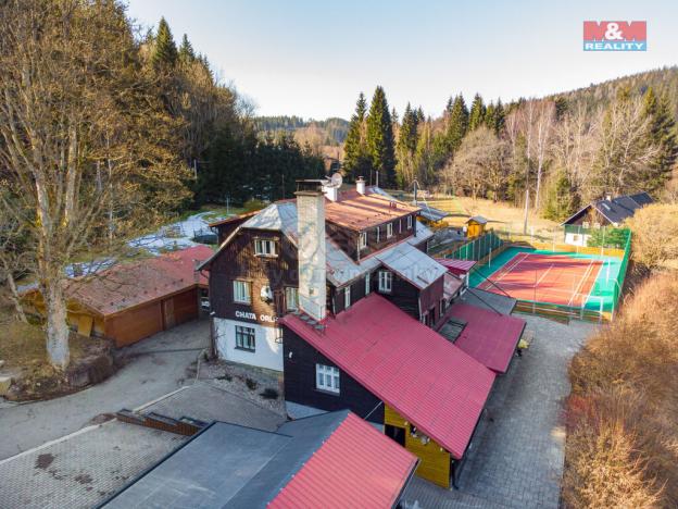 Prodej ubytování, Bartošovice v Orlických horách, 450 m2