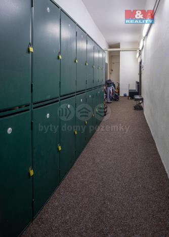 Pronájem obchodního prostoru, Pardubice - Bílé Předměstí, Dašická, 1230 m2