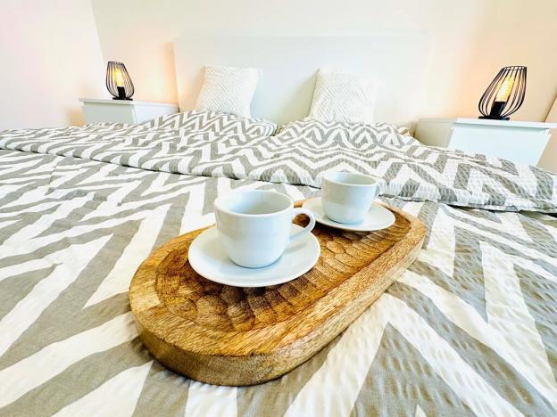 Pronájem bytu 1+kk, Jihlava, Havlíčkova, 50 m2