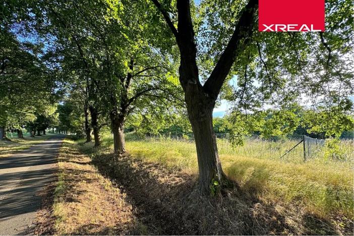 Prodej komerčního pozemku, Strančice, 7647 m2