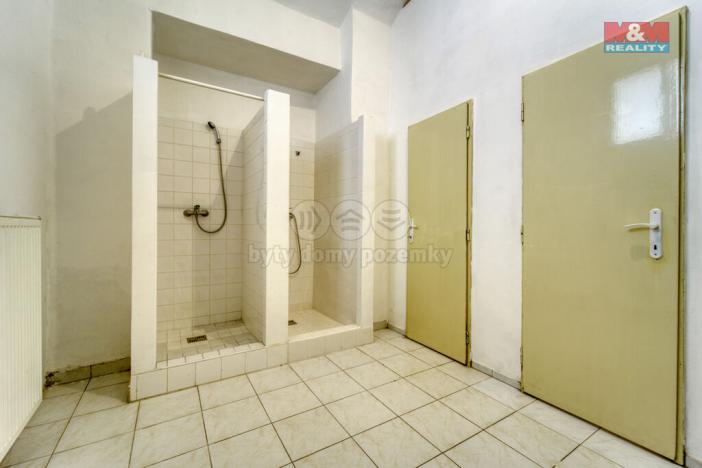 Pronájem obchodního prostoru, Plzeň - Jižní Předměstí, Palackého, 167 m2