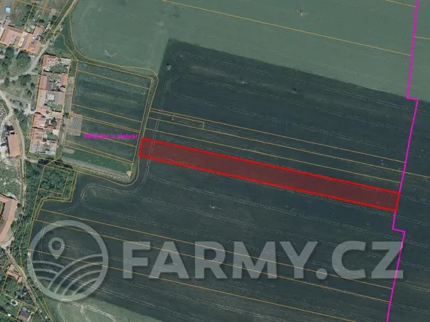 Prodej pole, Černuc, 5675 m2