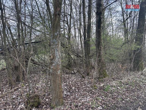 Prodej zahrady, Doubrava, 13719 m2