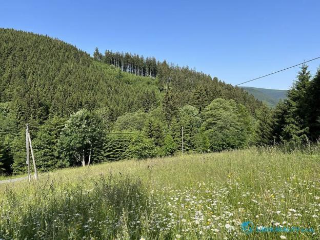 Prodej lesa, Krásná, 21810 m2