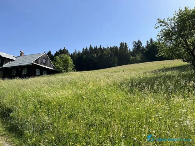 Prodej lesa, Krásná, 21810 m2