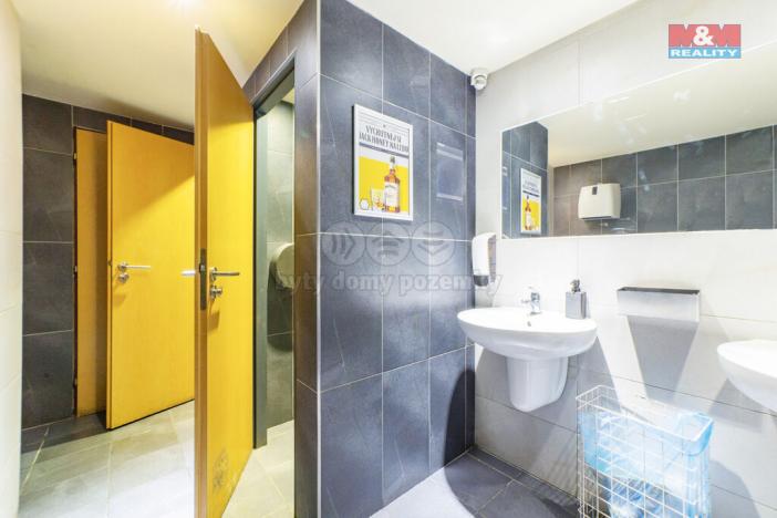 Pronájem restaurace, Plzeň - Vnitřní Město, Rooseveltova, 370 m2