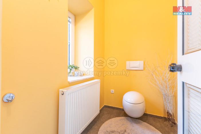 Prodej rodinného domu, Město Albrechtice, Krnovská, 300 m2