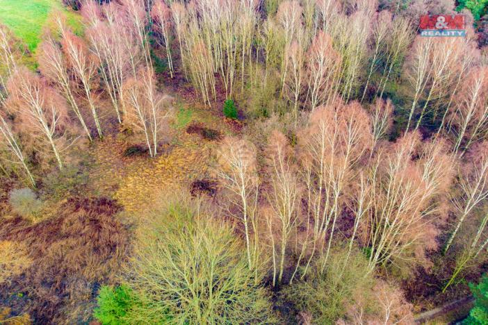 Prodej louky, Arnoltice, 6306 m2