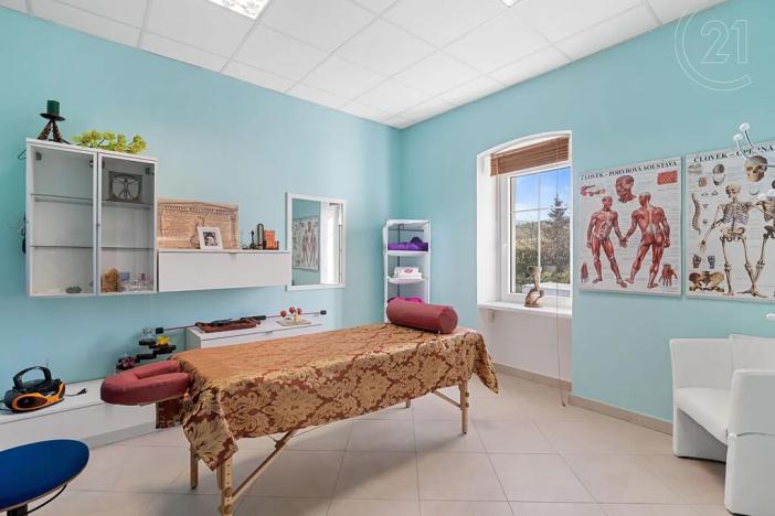 Prodej komerční nemovitosti, Děčín, Vilsnická, 900 m2