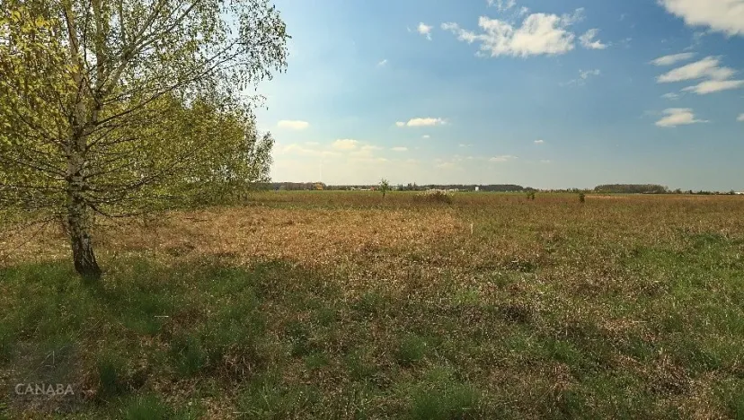 Prodej rodinného domu, Choťánky, 161 m2