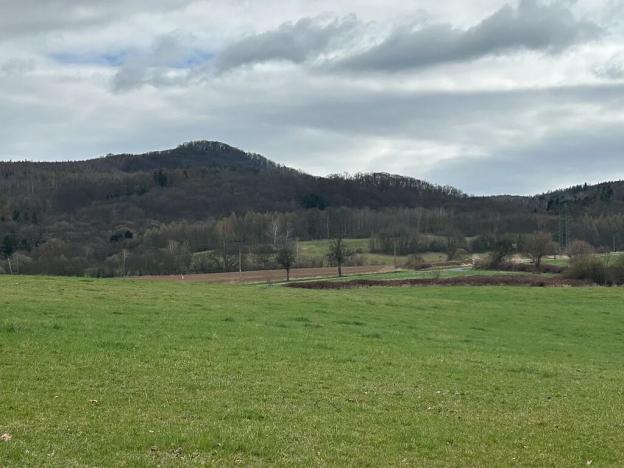 Prodej pozemku pro bydlení, Bžany, 9483 m2