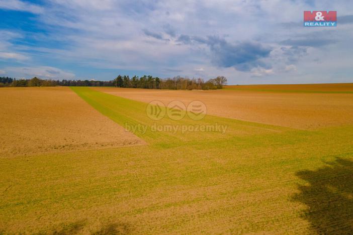 Prodej pole, Tlučná, 9418 m2