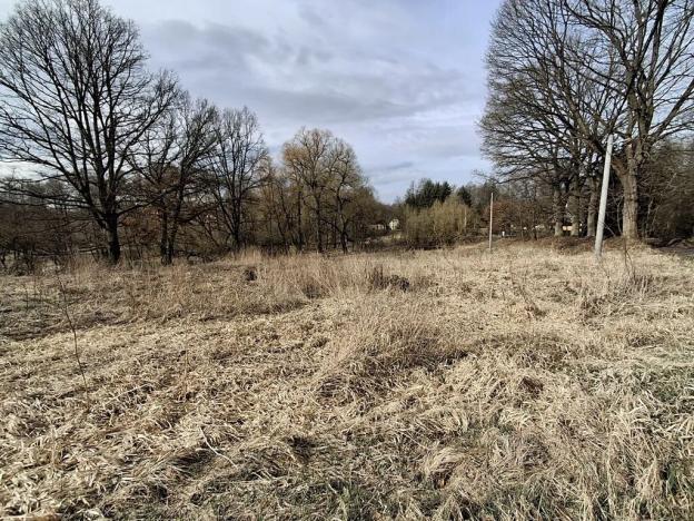 Prodej pozemku pro bydlení, Milíkov, 4644 m2